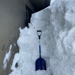 除雪スタッフ　日給11,000円の画像