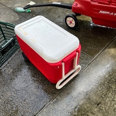 iglooクーラーボックス
の画像