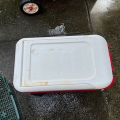 iglooクーラーボックス
の画像