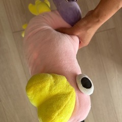 ぬいぐるみの画像