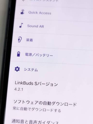 【未使用に近い】SONY LinkBuds S/WF-LS900N/YY2950/ワイヤレスイヤホン/バイオレット