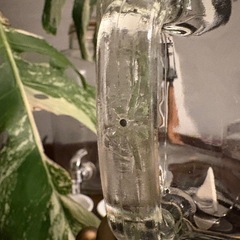 ジューサー ミキサーの画像