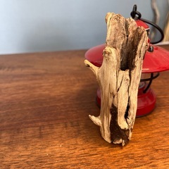 4 飾って可愛い三兄弟　流木、天然物、インテリア、置物の画像