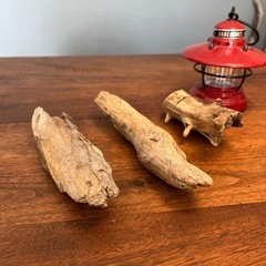 4 飾って可愛い三兄弟　流木、天然物、インテリア、置物の画像