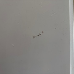 引き取りに来てくださる方の画像