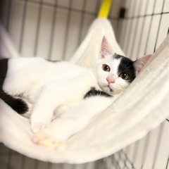 とても怖がりで小柄な女の子