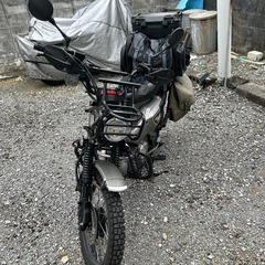 ありがとうございました決まりました！！HONDAハンターカブJA65型メタリックシルバー の画像