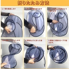 小型犬用の画像