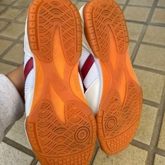 ミズノ　室内シューズの画像