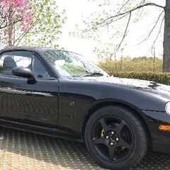 ロードスター NB6C MT 1600cc 鈴鹿の画像