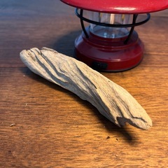 4 飾って可愛い〜仲間達　流木、天然物、インテリア、置物の画像