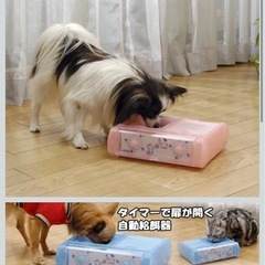 ペット用 自動給餌器 餌入れの画像