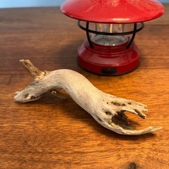 22 個性強めな〜グループ達　流木、天然物、インテリア、置物の画像