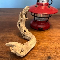 22 個性強めな〜グループ達　流木、天然物、インテリア、置物の画像