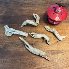 22 個性強めな〜グループ達　流木、天然物、インテリア、置物の画像