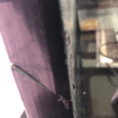 小動物ケージの画像