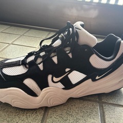 ナイキ　スニーカー　メンズ　27.5cmの画像