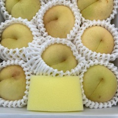 岡山県冬桃がたりの画像