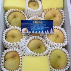 岡山県冬桃がたりの画像