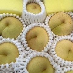 岡山県冬桃がたりの画像