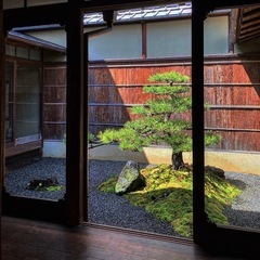 【急募•未経験者歓迎】庭師／造園工／手に職を付けて一生物の技術をの画像