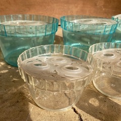 水栽培セット　大4 中5 小2の11個セット、おまけ付き　の画像