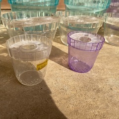 水栽培セット　大4 中5 小2の11個セット、おまけ付き　の画像