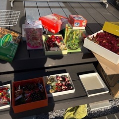 クリスマス　ライト　飾り　などの画像