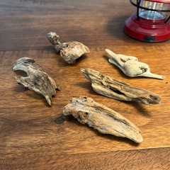 22 おしゃれで繊細な小物達、流木、天然物、インテリア、置物の画像