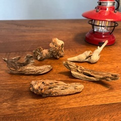 22 おしゃれで繊細な小物達、流木、天然物、インテリア、置物の画像