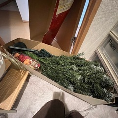 クリスマスツリーの画像