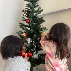 クリスマスツリーの画像