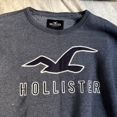 HOLLISTERトレーナー【S】の画像