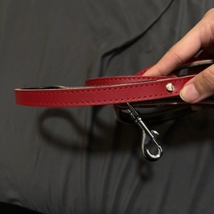 ペット用 リードの画像