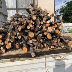 伐採　けやき？小枝　　無料  の画像