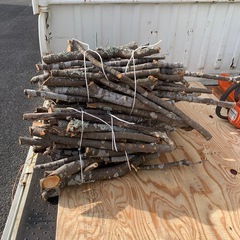 伐採　けやき？小枝　　無料  の画像