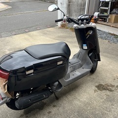 YAMAHA  VOX ヤマハ　ボックスの画像