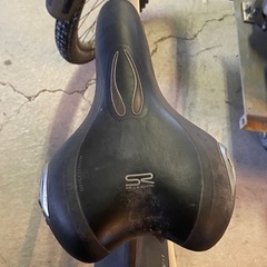 商談中　マウンテンバイク　LOUIS GARNEAU ルイガノ　AERIAL PRO （約）400mm 27.5×2.25の画像