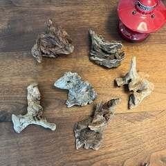 22 凸凹渋〜い　異母兄弟　流木、天然物、インテリア！オブジェの画像