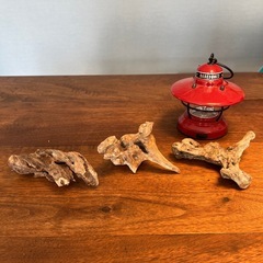 22 凸凹渋〜い　異母兄弟　流木、天然物、インテリア！オブジェの画像