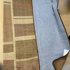 【年内に処分】ホットカーペットカバーのみの画像