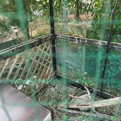 鶏小屋、鳥小屋、静岡県掛川市より出品の画像