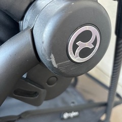 サイベックス　メリオカーボン
　の画像