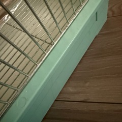 鳥かごの画像
