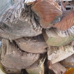 決まりました。。コロ薪、極太短小！２０ｃｍ前後ＭＩＸ広葉樹、不揃い、薪ストーブ、の画像