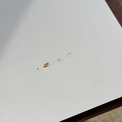 シングルベット　収納付きの画像