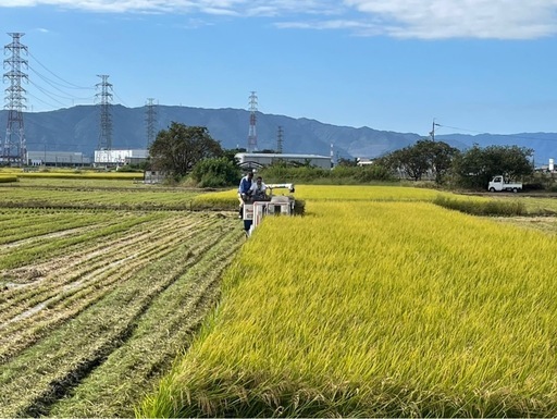 令和7年度産　新米　あいちのかおり 