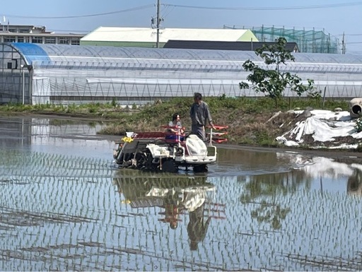 令和7年度産　新米　あいちのかおり 
