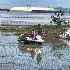令和7年度産　新米　あいちのかおり の画像