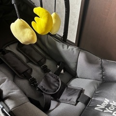 未使用バウンサーの画像